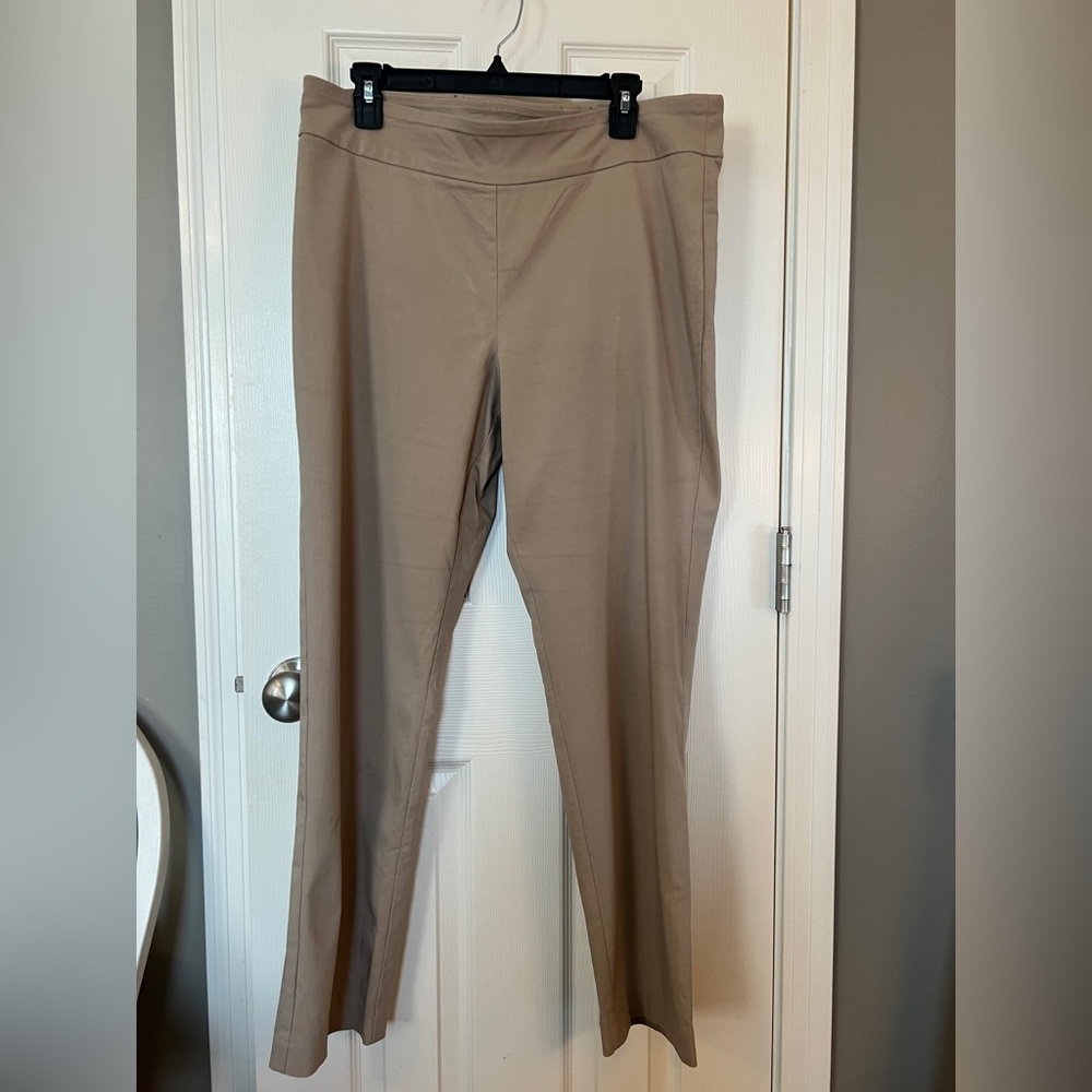 Dana Buchman Taupe Straight Leg Pants Size L